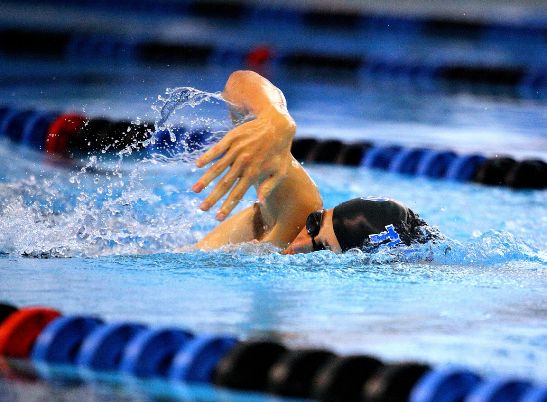 media.nuoto assoluti e fondo fin stadio nuoto riccione