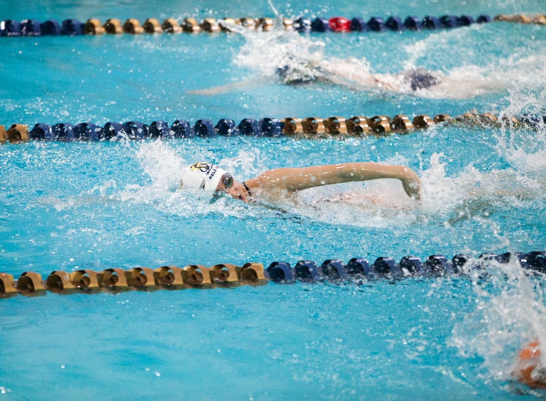 media.aics sport in fiore nuoto